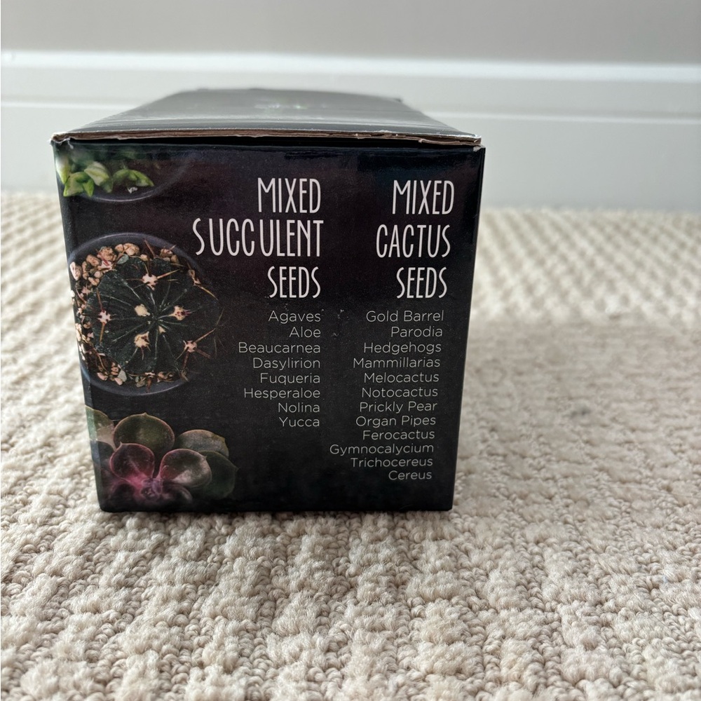 Cactus & Succulent starter kit! - Picture 3 of 4